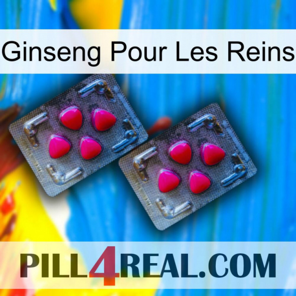 Ginseng For Kidney 14